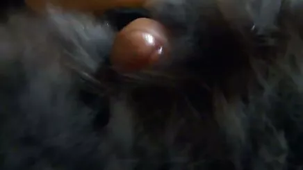 Yüz ile kızlar kısa amatör porno
