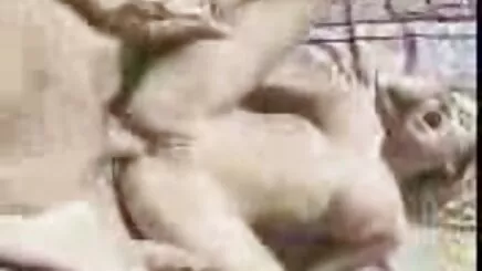 Boncuklu amatör ifşa